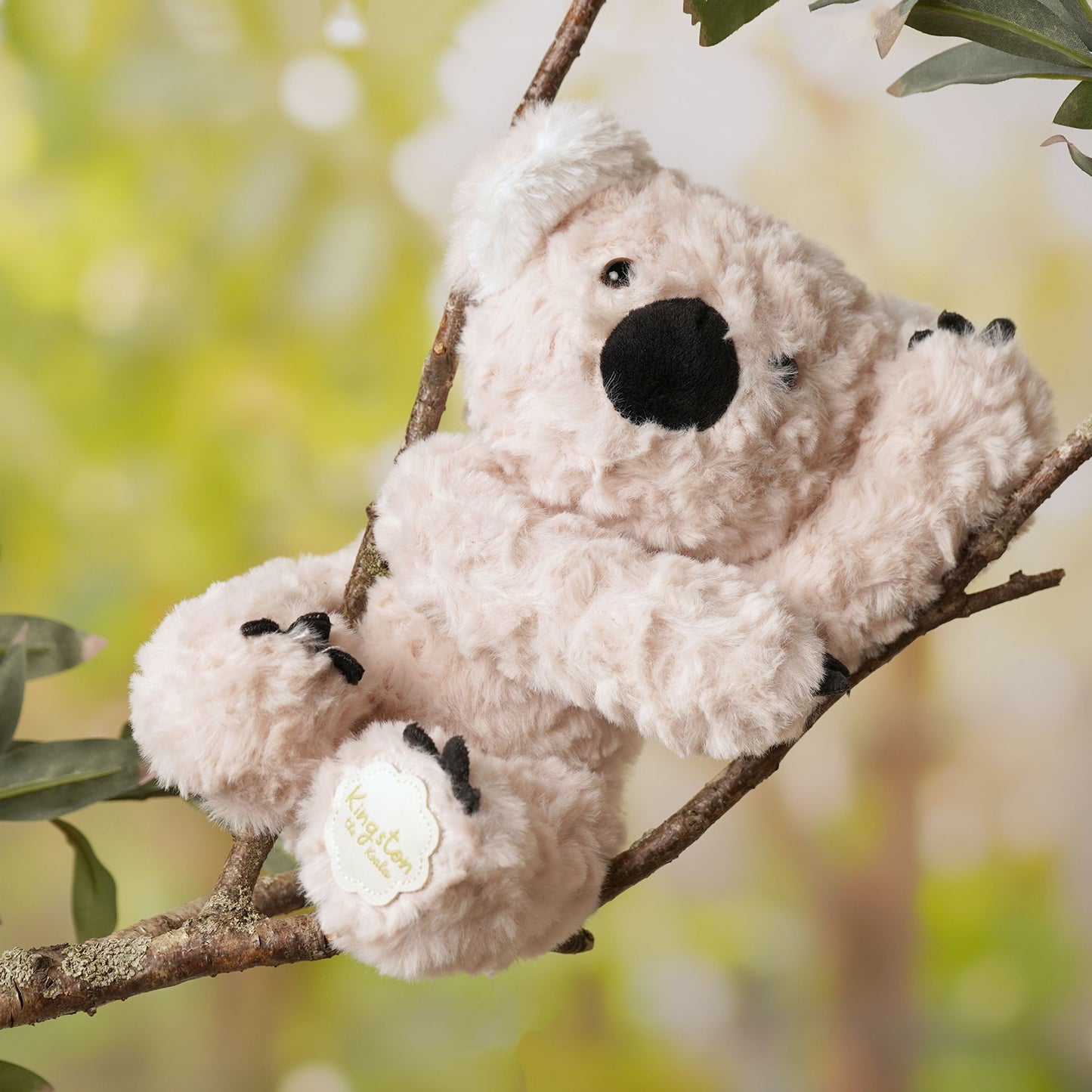 Kingston The Plush Sitting Light Brown Koala Bear 22cm